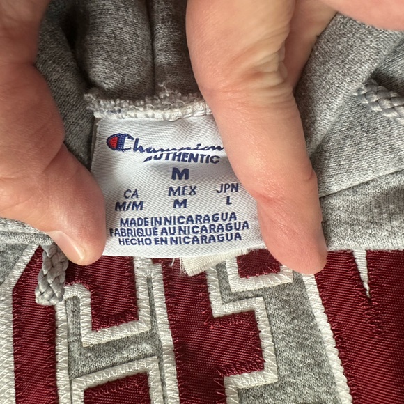 Champion Edgewood College Grey Hoodie size Medium - Picture 3 of 3
